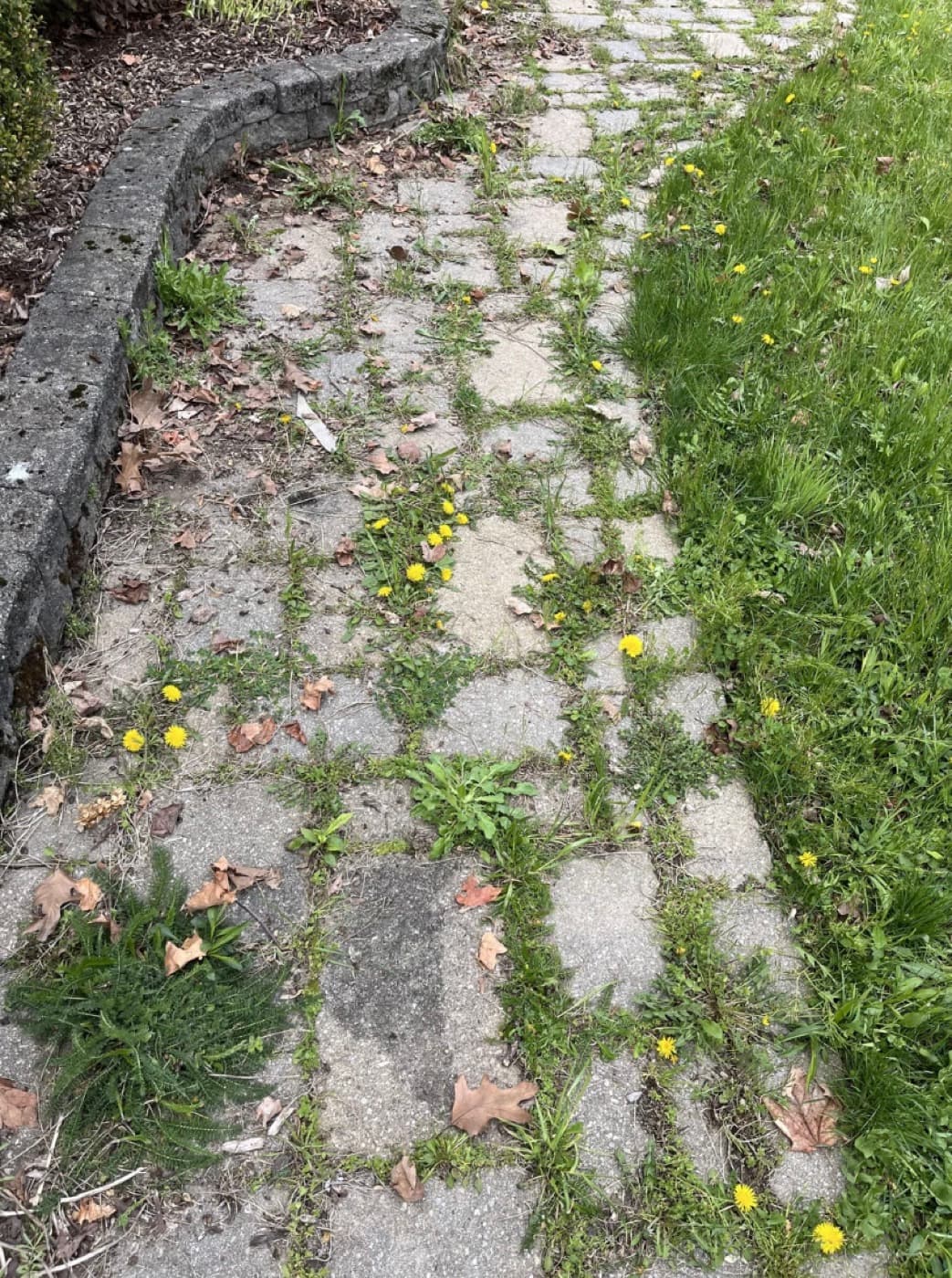Terrasse bois et bassin à Vertou — avant